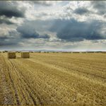 •za půl hodiny balíky zmoknou•