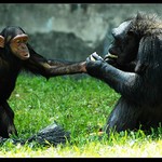 jen si dej taťko...