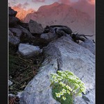 Volná variace na předešlé téma