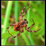 Neříkej fuj, protože...