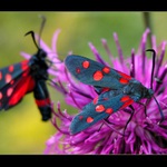 pojď blíž ke mě a netrucuj tam :)