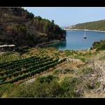 vzpomínka na dovolenou