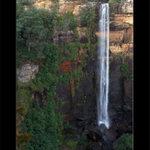Fitzroy Falls