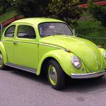 VW brouk