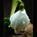 <b>PO DEŠTI...</b> <hr> <b>