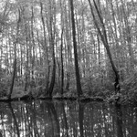 Pramen neznámé říčky...