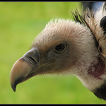 Hotel u mě u Supa :-)