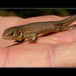 trochu ľudského tepla...