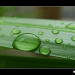 Jedna malá kapička I.