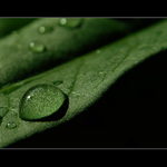 Jedna malá kapička II.