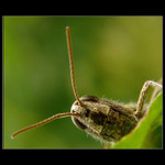 A ty tady chceš co?