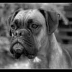 opět moje tlama :o)