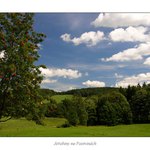 Jeřabiny na Pastvinách