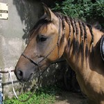 kola odkládejte zde