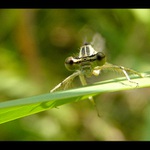 Hlavně se nepustit...