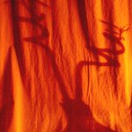 Parohy ve skleničce