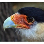 Neverím, nemôže to tak byť...