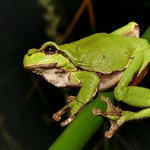 Dělej než mi to ujede