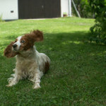 Neblbni s foťákom, poškrabkaj ma