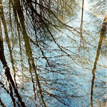 Zrkadlenie podôb I.