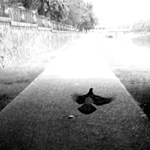 Všední den ve městě 3