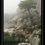 Mlhovno, aneb tento způsob léta ...