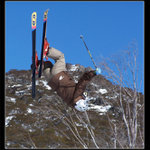 na vzdory gravitacii...