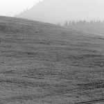 <b>Drive the nature...</b>