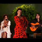 Flamenco