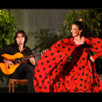 Flamenco II