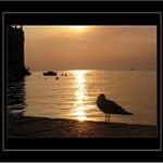 <b><font color=#fbd77f>**vzpomínka na moře***</font></b><br>