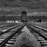 Osvětim II - Březinka