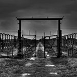 Osvětim II- Březinka