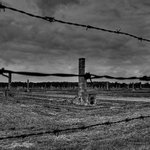 Osvětim II - Březinka