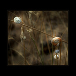 <b>:.V PODNÁJMU II.: