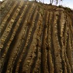 Provence II. - skály u jezera Lac de Castillon