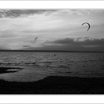 Podvečerné lietanie