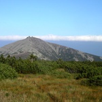 Sněžka