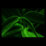 <u>***POINT***</U><B>