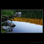 <b>...lonely smack</b>