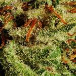 větší zvětšení než malé