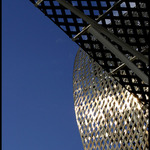 Frank Gehry - Ryba