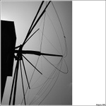 chains (and littil bird)