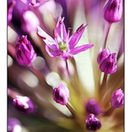 Fantazie paprsků III.