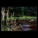 Klidná a romantická Vydra