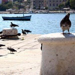 Čekání na trajekt