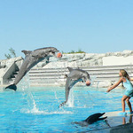 Hoplááá  a chytéééj