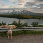 Pohlednicová - krásný pozdrav z dovolené...