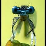 ** Uhni,zavazíš ve výhledu **