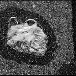 Igelitka překvapená náhlou bouří